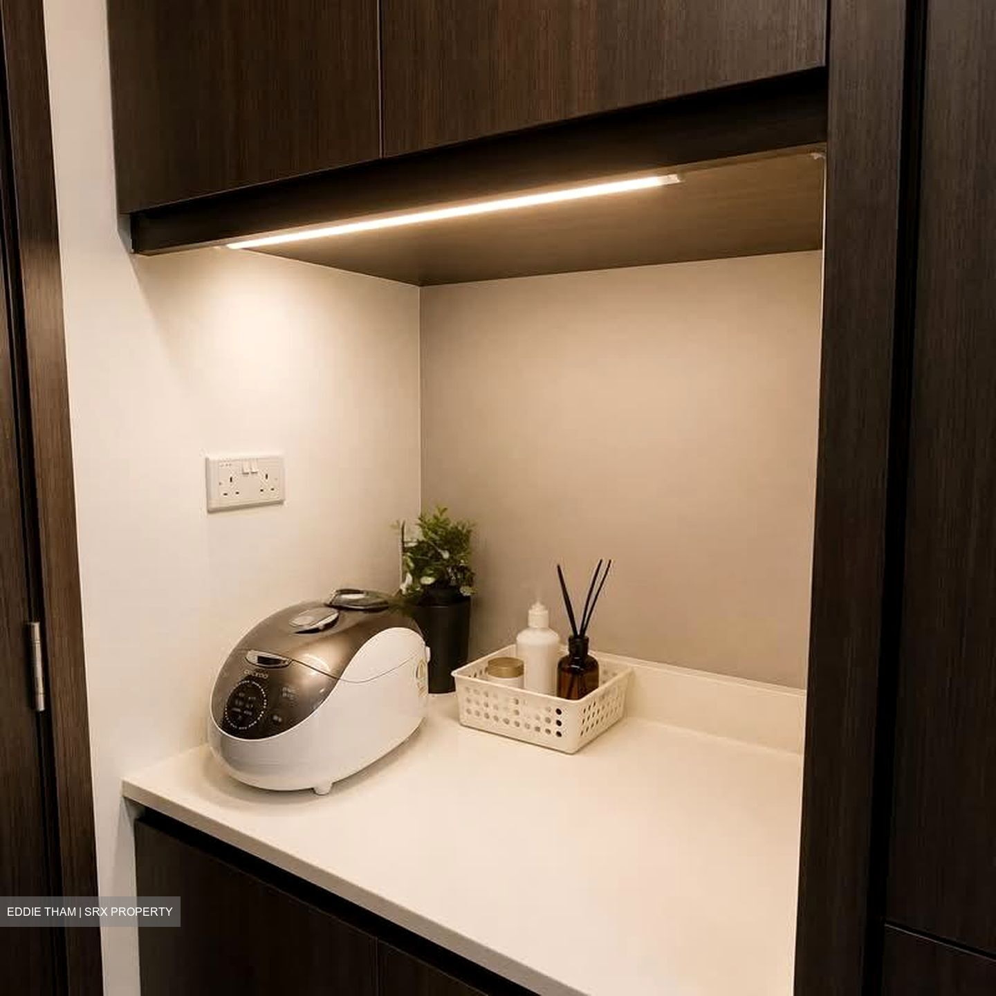 North Park Residences (D27), Apartment #584730061